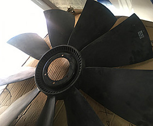 FAN